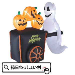 GA[fBXvC pvLJ[g nEB ΂ S[Xg J[g J{` WbNI^ Halloween nEB[ f tHgWFjbN pvL 10 H Ղ qǂ 