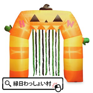 GA[fBXvCpvLA[` nEB Halloween WbNI^ pvL nEB[ ΂ S[Xg tHgWFjbN 10 Ղ qǂ ǂ wZ   Cx