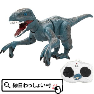 WR AeBbg_Ci\[vg  _Ci\[  ii a v[g Mtg qǂ ǂ LbY j̎q ̎q ct w čՂ Ղ  oX IX 