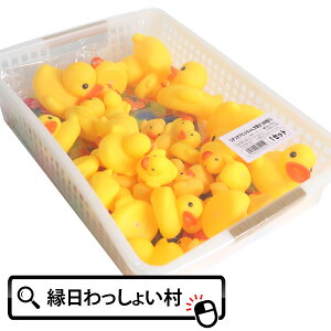 Aq 300 JS ՂՂ Ђ p l`  pi  pi  Ղ ii ߋ  X[p[{[ 킢 炩 j̎q 