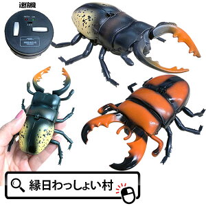 WR ԊORCNK^2 킪  ii  čՂ Ղ Ă܂   qǂ q q v[g Mtg ߋ  ii Ă ܂ a j̎q