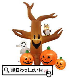 GA[fBXvC pvLc[ nEB Halloween nEB[ ΂ ڂ J{` pvL tNE 10 H Ղ qǂ ǂ fR[V dl ACLb`