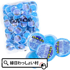 ʉَq ] TC_[{[100 َq   ii mxeB  ߋ p[eB[  qǂ q Ղ≮