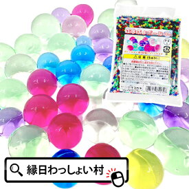 ぷよぷよボール 100g スーパーボールすくい すくい用品 すくいどり 水 膨らませる ジェリーボール バブルジェリー 水で膨らむビーズ 楽しい たのしい 子ども こども 保育園 幼稚園 学校 お祭り 夏祭り 縁日 屋台 出店 露店 子供 室内 遊び おもちゃ オモチャ 玩具
