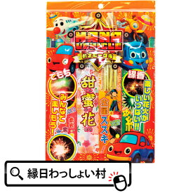 【20個セット】ハナビークルS はなび 花火 手持ち 手持ち花火 景品 玩具 プレゼント ギフト 夏祭り 夏休み 線香花火 花火大会 イベント 盆踊り 夜祭 キャンプ バーベキュー BBQ 子ども会 子供会 まとめ買い 問屋 業務用 お祭り 縁日