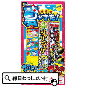 【10個セット】【手持ち 花火セット】 夏がきた!No.2 花火 手持ち セット はなび 手持ちたくさん HANABI Fireworks 豪華 宴 子供 家族 友達 夏休み 祭 祭り 屋台 リゾート 庭 思い出 縁日 景品 保育