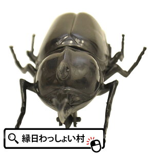 y25ZbgzJugVNK^ JugV    [X vobN ii ߋ X  qǂ q Ղ≮ ii čՂ Ղ