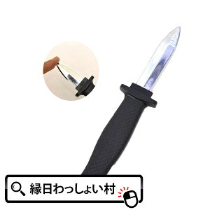 y50Zbgz}WbNiCtii ߋ   Ղ Cxg `ii qǂ q  Ղ≮