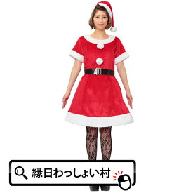 コスチューム エレクトリックショートスリーブサンタ コスチューム コスプレ 衣装 クリスマス 大人用 子ども会 子供会 お祭り問屋 コスチューム衣装 コスプレ衣装 コスチーム