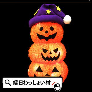 t@ubN3ApvL nEB Halloween ΂ ڂ J{` S[Xg pvL X^[ z[ iCg WbNI^ Ђ  10 H   Ղ q