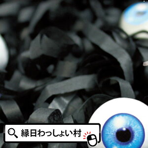 y8ZbgzOeXNNbJ[ ubN nEB Halloween ΂ S[Xg X^[ z[ iCg WbNI^ ዅ ڋ   唗 10 H   Ղ qǂ 