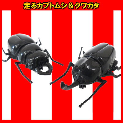 楽天市場 25個セット 走るカブトムシ クワガタ カブトムシ おもちゃ 昆虫 走る レース プルバック 景品 玩具 夜店 縁日 子ども会 子供会 お祭り問屋 ネットde縁日 わっしょい村 楽天市場 25個セット 走るカブトムシ クワガタ カブトムシ おもちゃ 昆虫 走る レース プルバック 景品 玩具 夜店 縁日 子ども会 子供会 お祭り問屋 ネットde縁日 わっしょい村