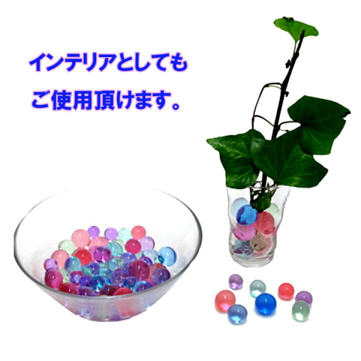 楽天市場 ぷよぷよボール 100g 約5000個 スーパーボールすくい すくい用品 すくいどり 水 膨らませる ジェリーボール バブルジェリー 水で膨らむビーズ 楽しい たのしい 子ども こども 保育園 幼稚園 学校 お祭り 夏祭り 縁日 屋台 出店 露店 子供 室内 遊び おもちゃ