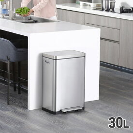 EKO イーケーオー ゴミ箱 ダストボックス 30Lエックスキューブステップビン X-CUBE STEP BIN スリム フタ付き シルバー EK9368MT-30L