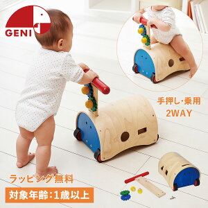 GENI WFj 艟 ̂ĂĂEH[J[ 1΂ mߋ  ؂̂ GhC^[ GENI WFj j̎q ̎q 814055