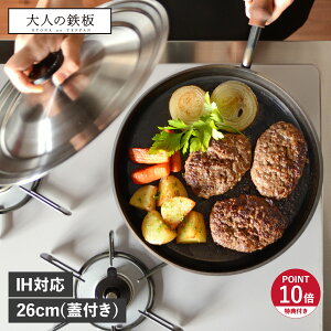 yő1000~OFFN[|sz yTtz l̓S tCp 26cm  Wt IH KXΉ S { I[NX OTS8102