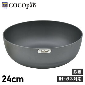 COCOpan 極SONS ココパン 鉄鍋 24cm 深型 IH ガス対応 鉄 リバーライト C107-002 アウトドア