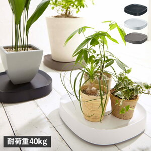 tidy PLANTABLE eBfB v^[X^h M  v^u  LX^[t ubN zCg uE   OT-668-100