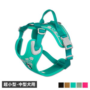 Hurtta EH[An[lX tb^  n[lX Y^ xg ^ ^  s⏕