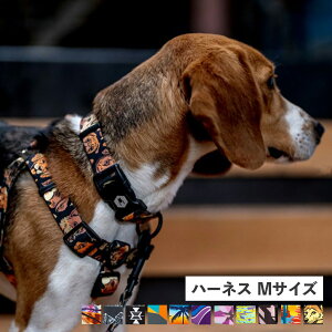 WOLFGANG HARNESS ウルフギャング ハーネス 犬 用 中型犬 Mサイズ マン&ビースト MAN&BEAST