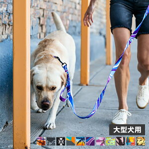 WOLFGANG LEASH EtMO [h [V ^ ^ LTCY