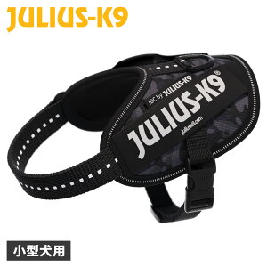 Julius-K9 IDC Powerharness EXK9 n[lX IDCp[n[lX xg ^ EXP[iC  s⏕ ubN  24IDCK9-NICAM
