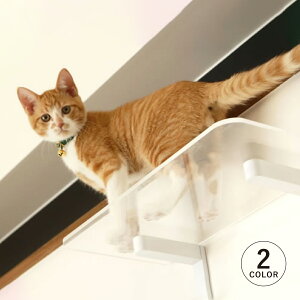 animacolle Aj}R LbgXebv Lbg^[ { S Ǖt I  L ˂ RpNg DIY zCg NA 