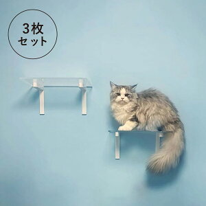 animacolle Aj}R LbgXebv 3Zbg Lbg^[ { S Ǖt I  L ˂ RpNg DIY zCg NA 