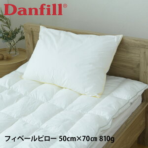 Danfill _tB  Q tBx[s[ v~ACg 􂦂 ې􂢑Ή  ʋC zedl EHbVu JPA126