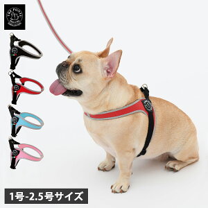 TREPONTI AWX^u^Cv tNeBu 1 1.5 2 2.5 g|eB n[lX  ^ ^ 1 1.5 2 2.5 ɂ ϐ  s⏕ LTP120