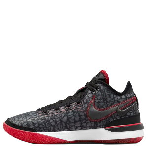NIKE iCL Y[u lNXgWF EP Xj[J[ Y ZOOM LEBRON NXXT GEN EP ubN  DR8788-001 yzziz yԕisz