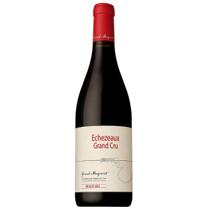  h[k WF[ ~j GVF][ [2022]  ԃC uS[jC  