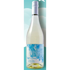 アオゾラ ソーヴィニヨンブラン ホークス ベイ [2022] ≪ 白ワイン ニュージーランドワイン ≫