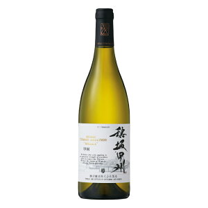 P5{122213܂Ł  bBe[ ZNV bB [2018]  C {C 