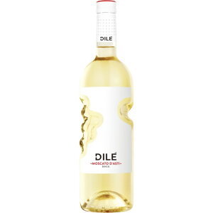  Te fB[ XJ[g _XeB [2024]  C C^AC 