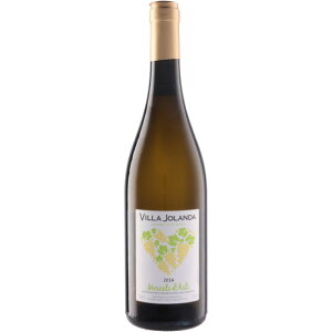  Te Bb _ XJ[g _XeB [2024]  C C^AC 