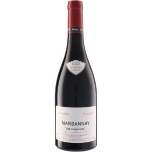 P5{122213܂Ł  h[k RC }Tl  W [2023]  ԃC uS[jC 