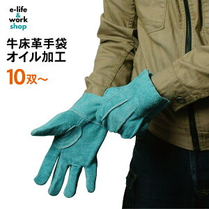 Ǝ wD ICH 10o` Aet v v Ɨp p OD ƗpO[u  n t[TCY