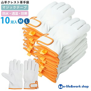 h 10oZbg Rrv {v v }WbNe[v h h Ǝ t[X   p Ⴉ ~ Rrv Ɨp g