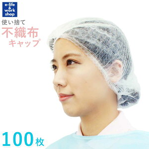 g؂sDzLbv 100 jp t[TCY XLbv wALbv ĝ ʋC Hp Ɨp   sDz Ȋw Ȋw ÍH wH ŋێ 