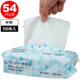 業務用 ペーパータオル 【54個セット】 中判 レギュラーサイズ 200枚入×54パック 10800枚 紙タオル 手拭き 大容量 まとめ買い ハンドタオル 介護施設 法人限定