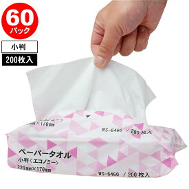 業務用 ペーパータオル 【60個セット】小判 エコノミーサイズ 200枚入×60パック 12000枚 紙タオル 手拭き 大容量 まとめ買い ハンドタオル 介護施設 法人限定