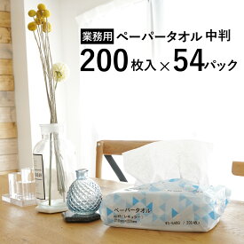 業務用 ペーパータオル 【54個セット】 中判 レギュラーサイズ 200枚入×54パック 10800枚 紙タオル 手拭き 大容量 まとめ買い ハンドタオル 介護施設 法人限定