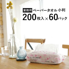 業務用 ペーパータオル 【60個セット】小判 エコノミーサイズ 200枚入×60パック 12000枚 紙タオル 手拭き 大容量 まとめ買い ハンドタオル 介護施設 法人限定