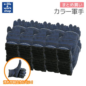 R lCr[ubN ۃJ[ Ɩp 100oZbg ꂪڗɂ vŏ_炩 Ǝ DIY | AEghA