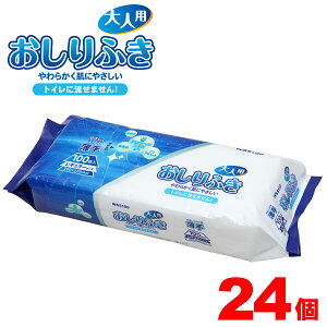 _24ZbgI2400^ lp ӂ 100 M[TCY 200×220mm P[X̔ p p { ݑ gCɗȂ^Cv  AGxGLXz mAR