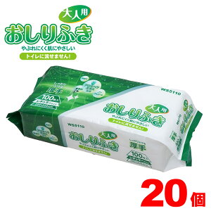 _20ZbgI2000^ lp  ӂ 100 M[TCY 200×220mm P[X̔ p p { ݑ gCɗȂ^Cv  AGxGLXz mA