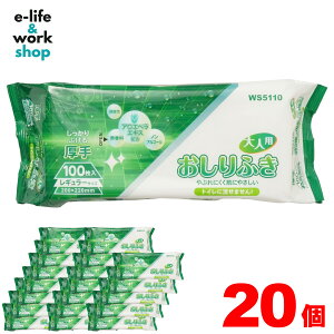 _20ZbgI2000^ lp  ӂ 100 M[TCY 200×220mm P[X̔ p p { ݑ gCɗȂ^Cv  AGxGLXz mA