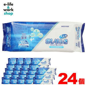 _24ZbgI2400^ lp ӂ 100 M[TCY 200×220mm P[X̔ p p { ݑ gCɗȂ^Cv  AGxGLXz mAR