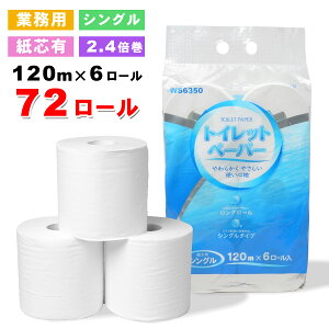 _120m  O[ 2.4{^@l ƖpgCbgy[p[ 72[i6[×12pbNj ܂Ƃߔ P[X̔ VO^Cv ItBX  H X  RXg팸 o